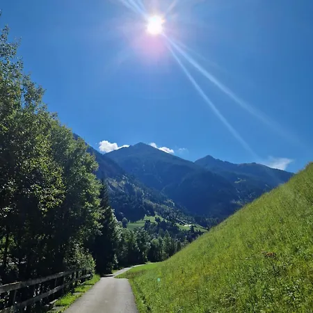 Mit Bergblick Am Wald *